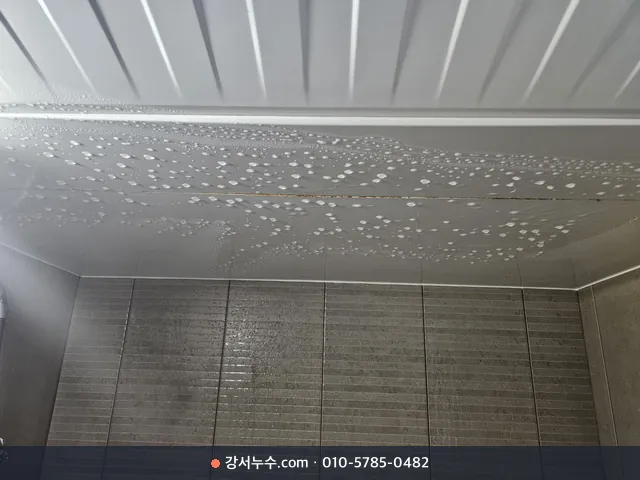 천장 판넬에 맺힌 물방울